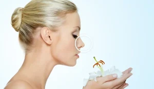 تاثیر رینوپلاستی بر حس بویایی : آیا تغییری ایجاد میشود؟