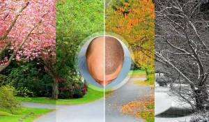 بهترین فصل کاشت مو : آیا فصل موثر است؟