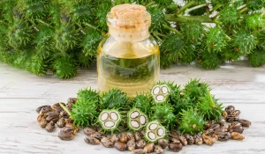 روغن بنه : معجزهای طبیعی برای پوست، مو و سلامت بدن