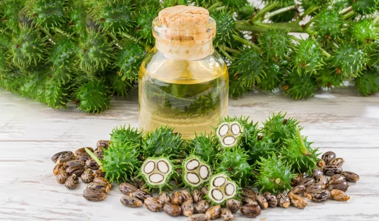 روغن بنه : معجزه‌ای طبیعی برای پوست، مو و سلامت بدن